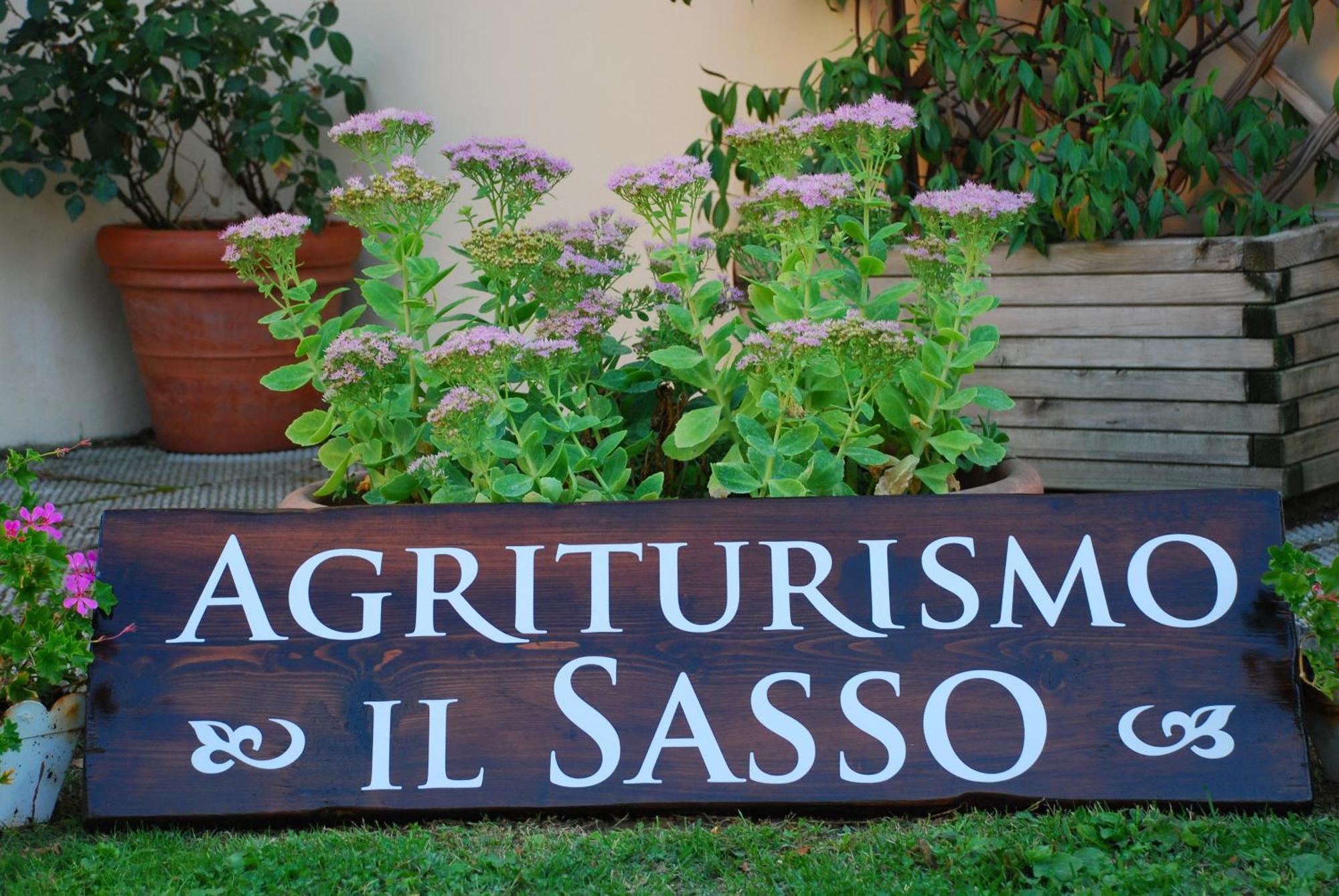 Agriturismo Il Sasso Anghiari Exteriör bild
